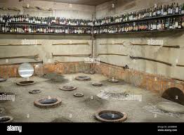 Traditional wine village in Kakheti Georgia with family winery and vineyards near Tbilisi road trip route