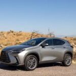 Lexus NX compact luxury SUV rental Tbilisi.